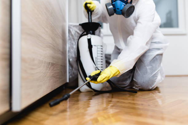 Best Bed Bug Extermination  in Antelope, CA