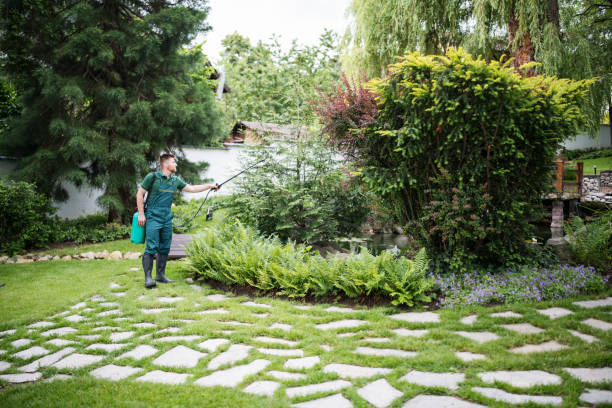 Best Pest Control Near Me  in Antelope, CA