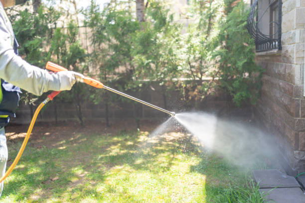 Best Pest Removal Services  in Antelope, CA