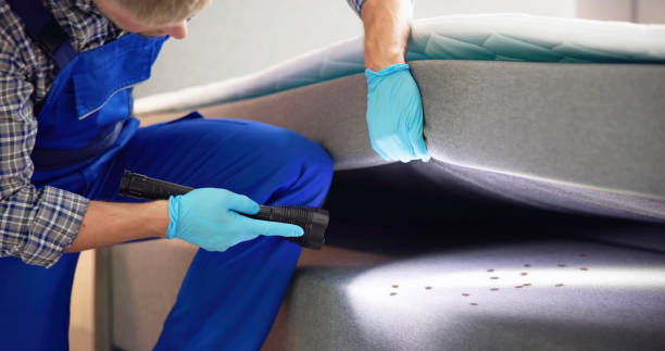 Best Affordable Exterminators  in Antelope, CA