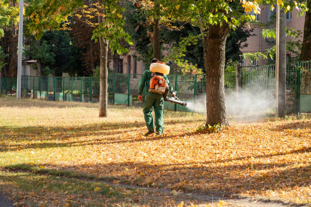 Best Commercial Pest Control Services  in Antelope, CA