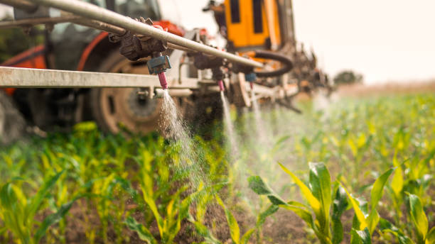 Reliable Antelope, CA Pest Control Solutions